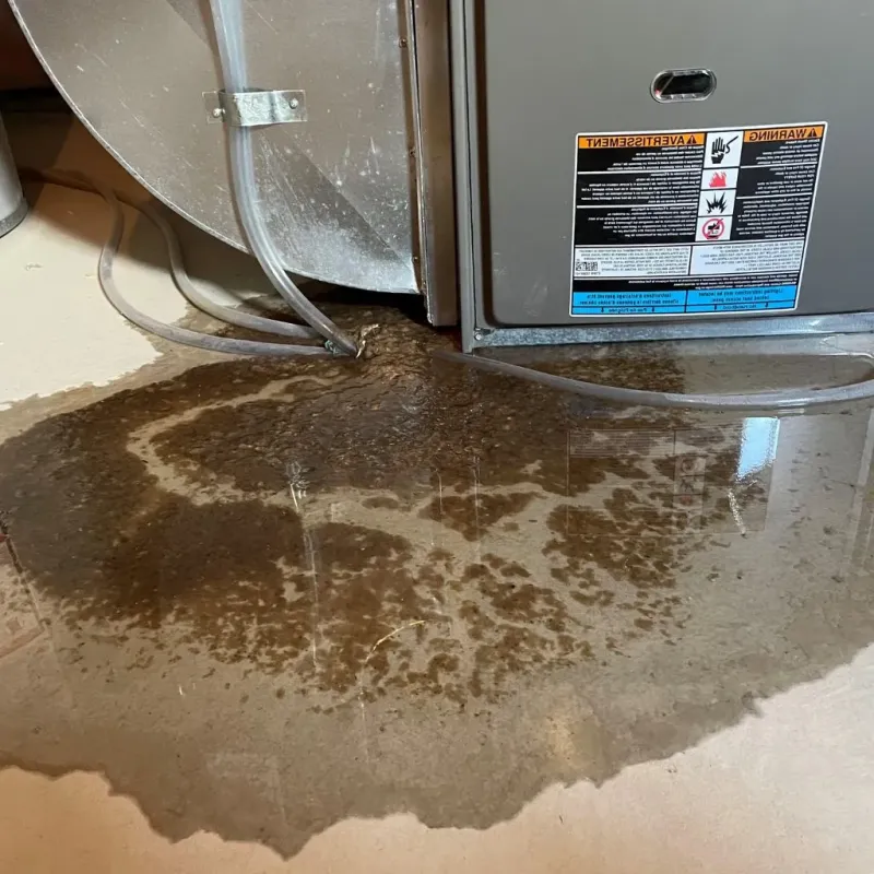 Pipe Burst and Leak Restoration in Calvert City, KY