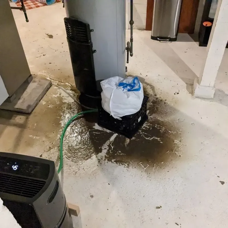 Sewage Backup Cleanup Service in Calvert City, KY
